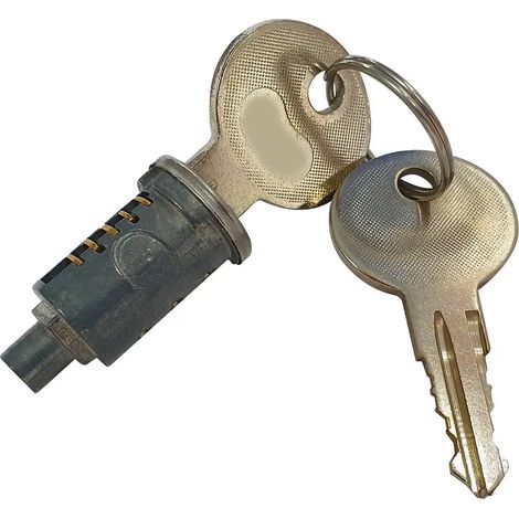 Inserto di rilascio frizione con 2 chiavi (I100017 10001) per BFT Deimos BT A e ultra