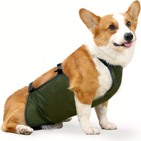 Faja abdominal transpirable para perros machos, impermeable y resistente a las manchas, lavable, ideal para la higiene de mascotas. Se adapta a todos los tamaños. (1/5)