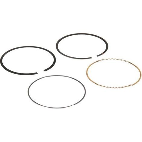 Segments BRIGGS ET STRATTON 594437
