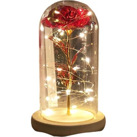 Rose - Dôme En Verre - Led - Décoration Intérieure - Pour Salon Chambre Bureau - 1 Pièce (1/5)
