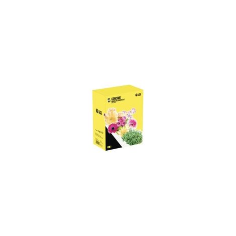 C CONCIME GRANULARE UNIVERSALE 2 KG