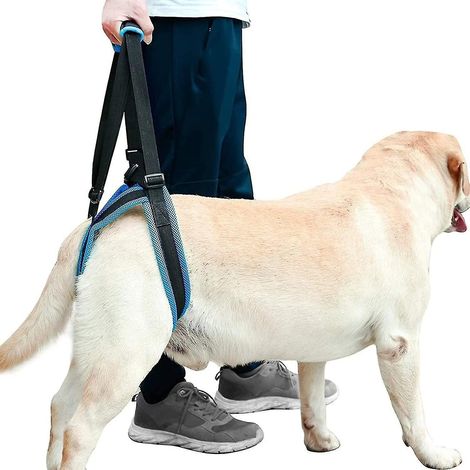 Harnais de soutien pour chien, harnais de soutien pour les pattes arrière du chien, harnais de levage portable pour aider les chiens à (1/5)