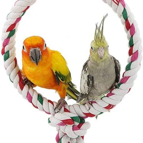 Balançoire pour perroquet, jouet, décoration pour cage à oiseaux, anneau pour perroquet KLB