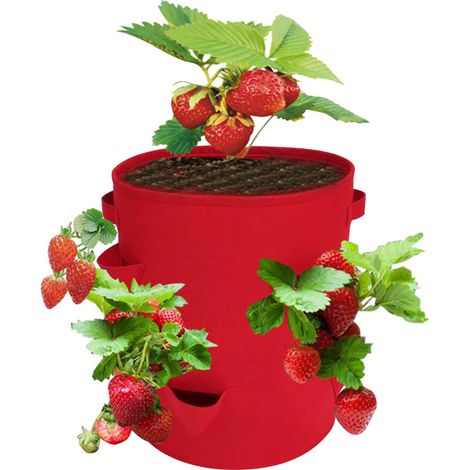 Sacs de culture pour fraises 38 litres avec 8 sachets de culture, jardinière respirante avec poignées 35,5 x 45,5 cm (1/5)