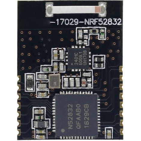Module Bluetooth BLE 5.0 NRF52832, réseau Mesh longue portée basse consommation, émetteur-récepteur sans fil (1/5)