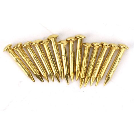 GARRYFIZH Lot de 100 clous à tête ronde en laiton pour charnières de meubles, accessoires de quincaillerie de 10 mm, 15 mm, 18 mm et 22 mm (longueur : 10 mm).