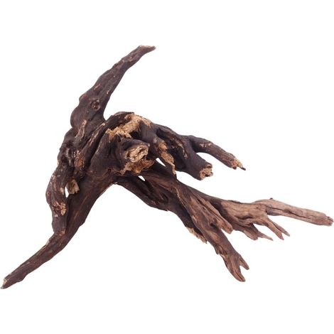 XL Driftwood Flußwurzel Nr.4918 Holz Deko Aquascaping