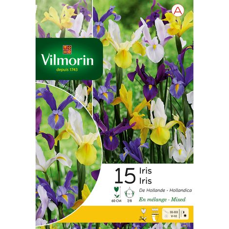 Vilmorin Iris De Hollande En Mélange (x15) (1/2)