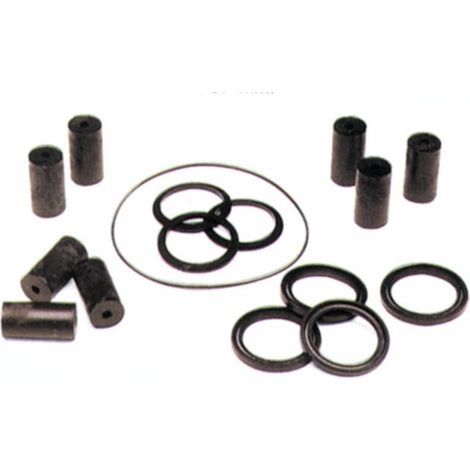Kit riparazione pompa lavaggio ML20