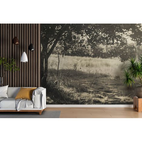 Papier peint campagne - clairière ombragée noir et blanc - 150 x 250 cm (1/2)