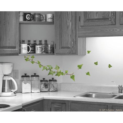 Sticker Autocollant Photo Branche de Lierre, Décoratif, 30 cm x 21 cm, Lot de 2