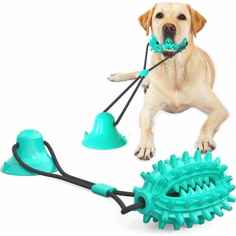 Jouet à mâcher pour chien avec ventouse pour la formation de chiots agressifs (1/5)
