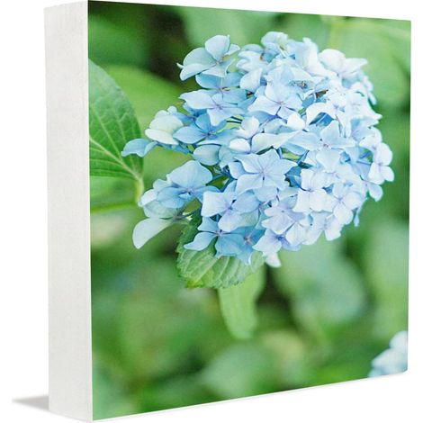 Cadres photo commémoratifs, cadeaux de fin d'études pour lui, panneaux et plaques décoratifs pour la maison, le bureau, les étagères et la chambre. (1/5)