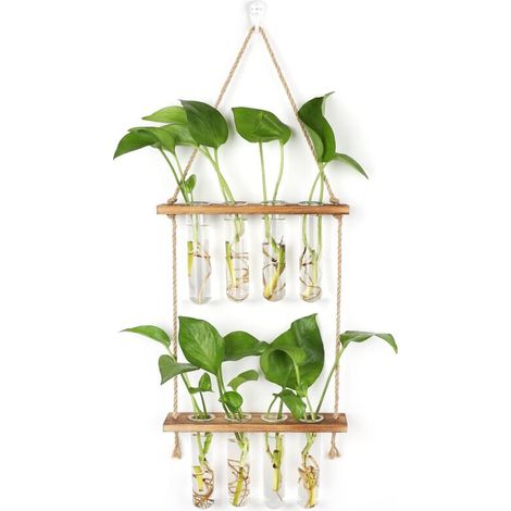 Station de Propagation avec Support en Bois Vase Mural avec 8 Tubes à Essai en Verre Suspendu pour Plantes Hydroponiques pour La Décoration de Bureau à La Maison