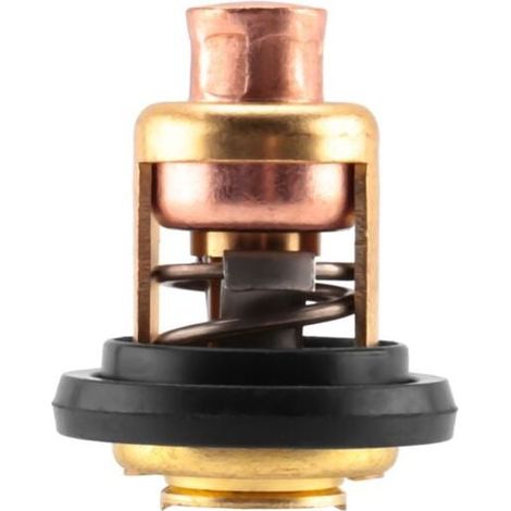 5005440 8330720 777260 Thermostat pour Marine Evinrude (1/4)