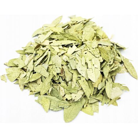SENSE SENNESS BLATT 1 KG 100% NATURAL SHOP