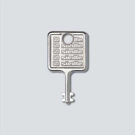 Siedle 210007019-00 llave plateada acero inoxidable