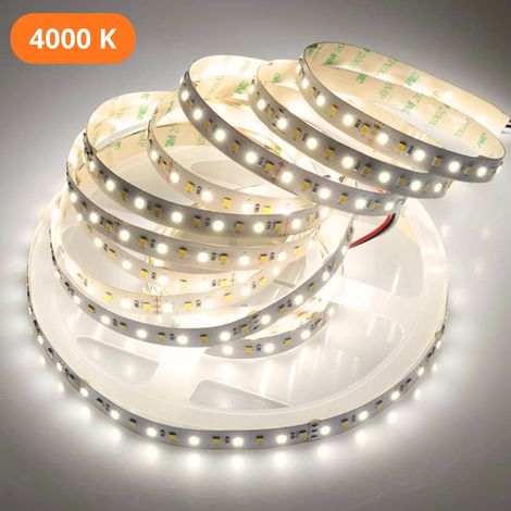 Evotrade Bande LED 24V 12W/m 60 LED/m - Découpable tous 50mm Haute Luminosité Longue Durée Lumière Neutre 4000K (1/5)