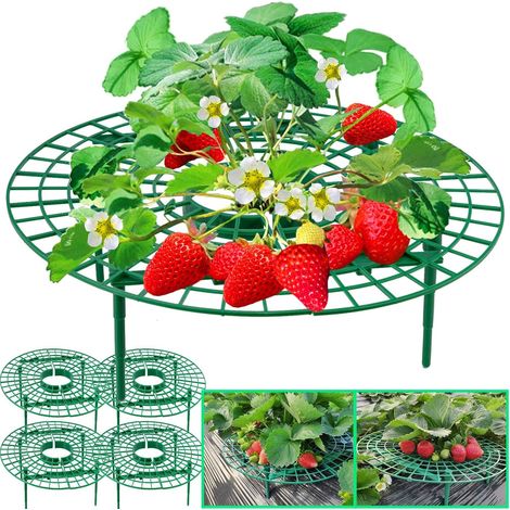 Confezione da 5 supporti per fragole, telaio di crescita per sollevare i frutti e prevenire il marciume (1/4)
