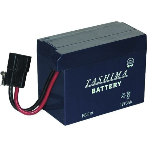 Motorrad-Batterie Tashima 12V, 3A, anpassbar für Tecumseh. L: 110, B: 55, H: 80 mm, mit Spezialanschluss (ohne Säure geliefert)