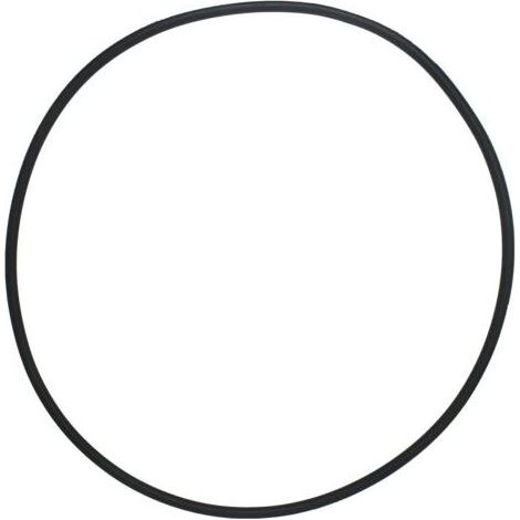 Pentair 39010200 Schlauchschelle und Dichtung – für CCP 520/420/320 Filter (1/5)