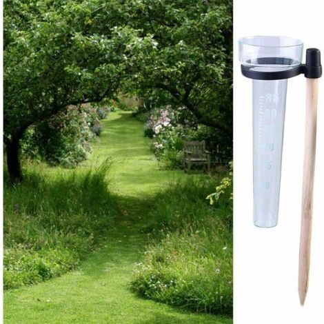 Pluviomètre Extérieur Transparent Robuste, Grande Capacité avec Affichage Clair, Idéal pour Jardin et Mesure Précise des Précipitations