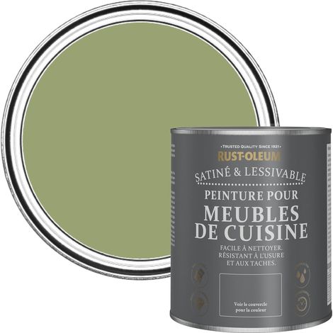 Peinture Verte pour Meubles de Cuisine, Finition Satinée Gris - Terrain Connu 750ml (1/5)