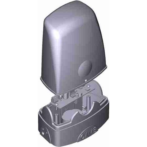 Riolux01 Lampeggiatore Ricambio CAME 88006-0015