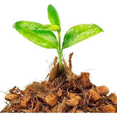 Additivo per substrato a base di scaglie di cocco per piante e fiori, 5 l (1/5)
