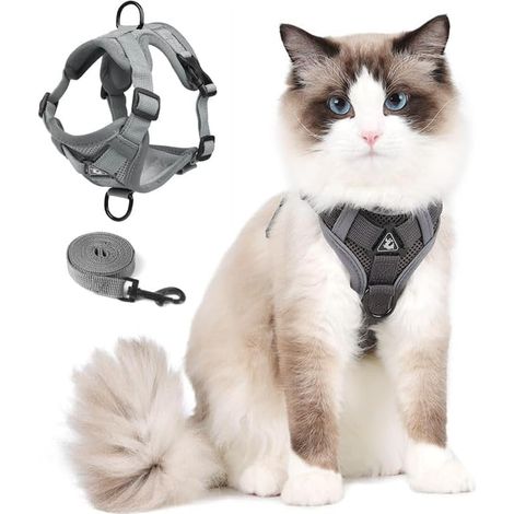 Harnais réfléchissant et anti-évasion pour chat et petit chien, taille M (1/5)