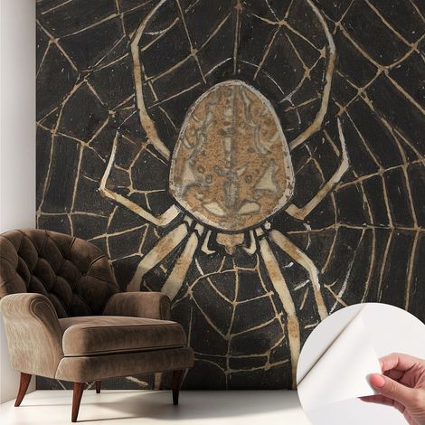 Papier peint adhésif décoratif pour salon chambre et cuisine Facile à poser avec colle Toile d'araignée 250x250 cm (1/5)