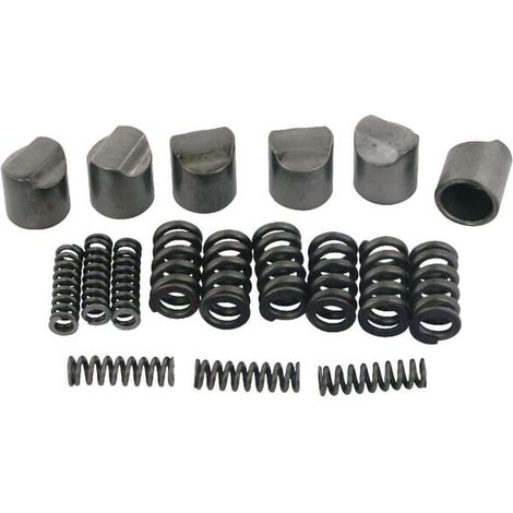 Elemento di bloccaggio con molla per SA1-4/LC1-4 BONDIOLI 6PAVESI 421340001R06 (1/2)