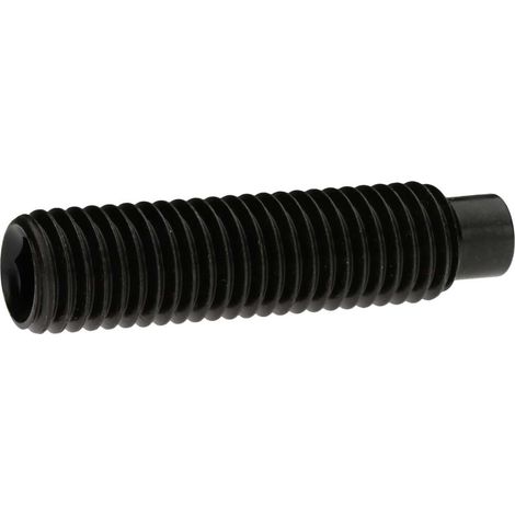 Reidl DIN 6332 Gewindestift M16x75, mit Innensechskant/Druckzapfen, 5.8 brüniert (1/2)