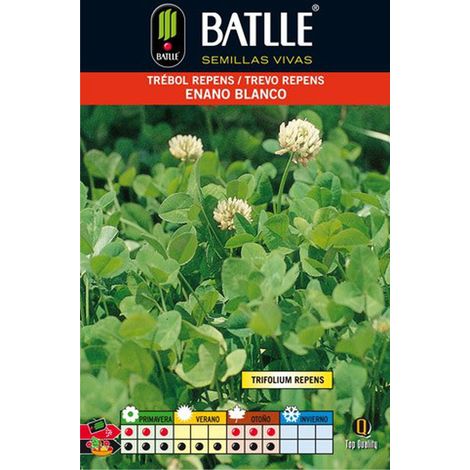 Graines de Trèfle Blanc Nain Batlle Paquets 100 g, 250 g et 1 kg 1 kg