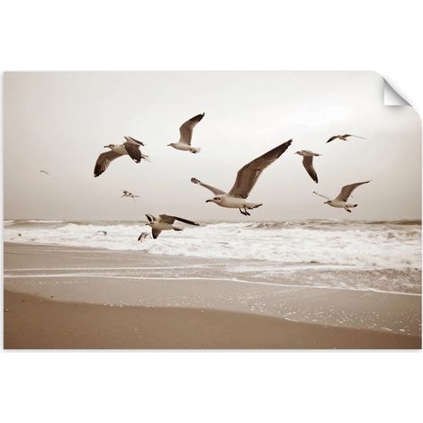 Selbstklebendes Poster – Wandsticker Möwen Vögel Meer Strand Natur 120x80 cm