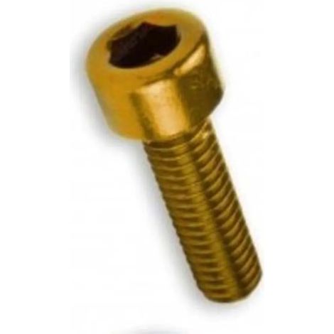Vis vparts ss-374-m6x20-oro inoxydable résistante à la corrosion