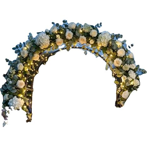 Arco de jardín, de metal negro resistente, 2,4 metros de altura, diseño independiente, ideal para plantas trepadoras, versátil para uso en exteriores. (1/5)