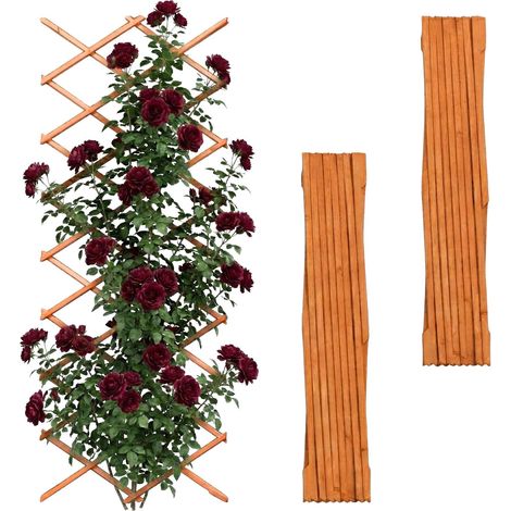 Wall-Mounted Plant Trellis Set, 3-Piece Extendable Wood (1/5)