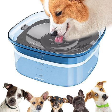 Gamelle anti fuite pour chien : Gamelle anti bave 2 L, anti fuite, antidérapante, bleue (1/5)