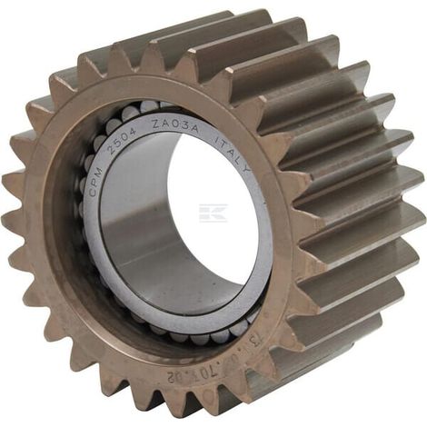 Pi帽贸n del diferencial SPICER DANA 7300670302 (1/3)