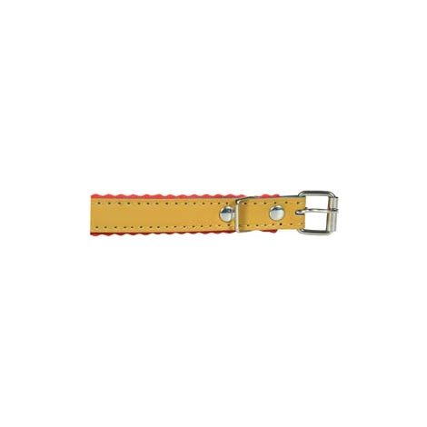 COLLARE PER CANI CUOIO FODERATO- - cm.33x1,2 - 5 pezzi IL CAMPO
