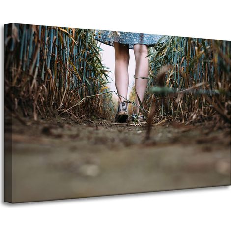 Lienzo impreso Naturaleza Un paseo por el campo 90x60 cm