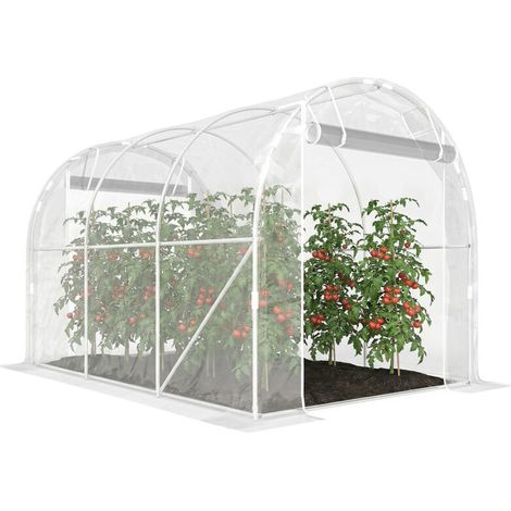 Serre tunnel de jardin 6m² serre de jardin tunnel 195x295x195cm cadre acier galvanisé. bâche PE 150g/m² transparent (1/5)