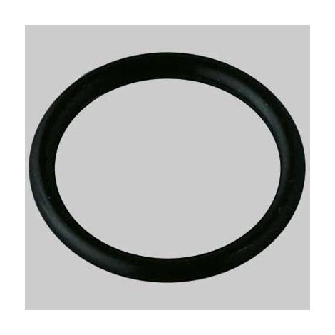 ANELLO O-RING PER TAPPO SALTERELLO - 29 x 3 mm 1"