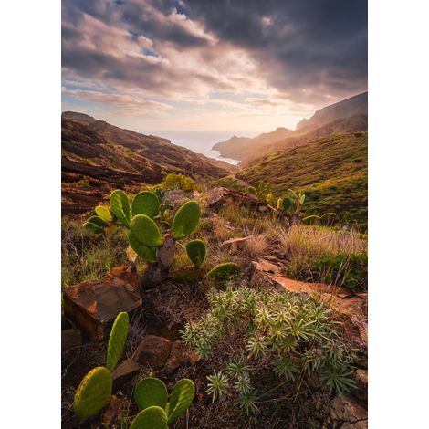 Papier peint panoramique naturel Warmes Licht (1/4)