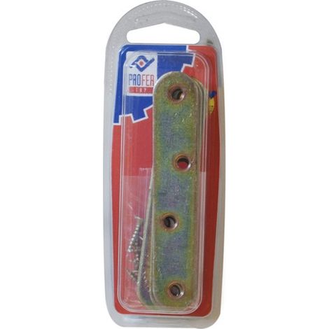PLAQUE D'ASSEMBLAGE DROITE BICROME 4 - 100X20 MM