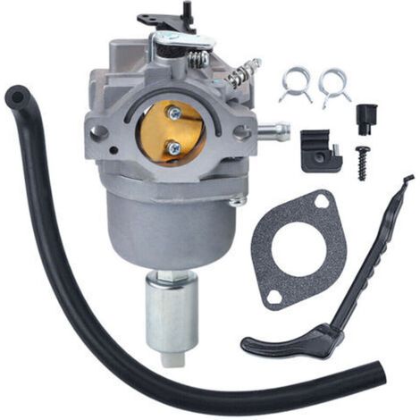 Vergaser 794572 für 791858, 791886, 287707, 287777, 28N707, 28N777, 28P777, Motoren mit 14 PS, 15 PS, 16 PS, 17 PS und 18 PS