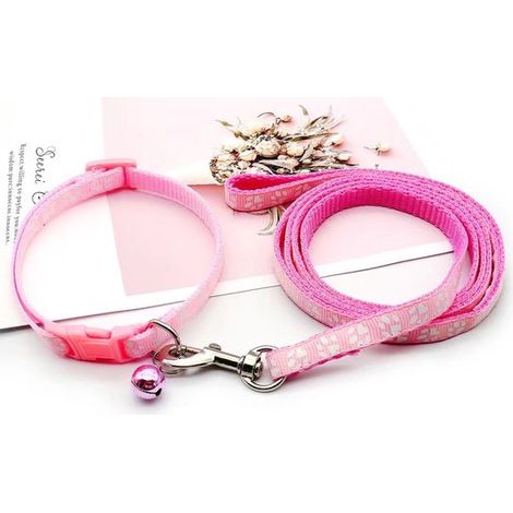 Collier pour chiot avec laisse, réglable, laisse souple en nylon pour chiots et petits chiens, 1,2 m de long, bleu ciel (1/5)