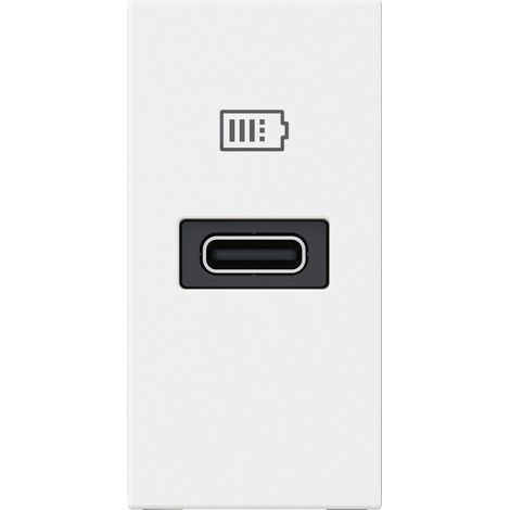 Chargeur USB Type-C Power Delivery Mosaic 1 module blanc pour support LCM LEGRAND 077690L (1/3)