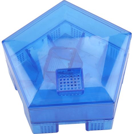 Boîte anti-cafards réutilisable bleue, tue efficacement les insectes nuisibles de la maison et de la cuisine. (1/5)